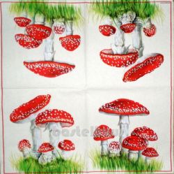 Fly agaric 1/2